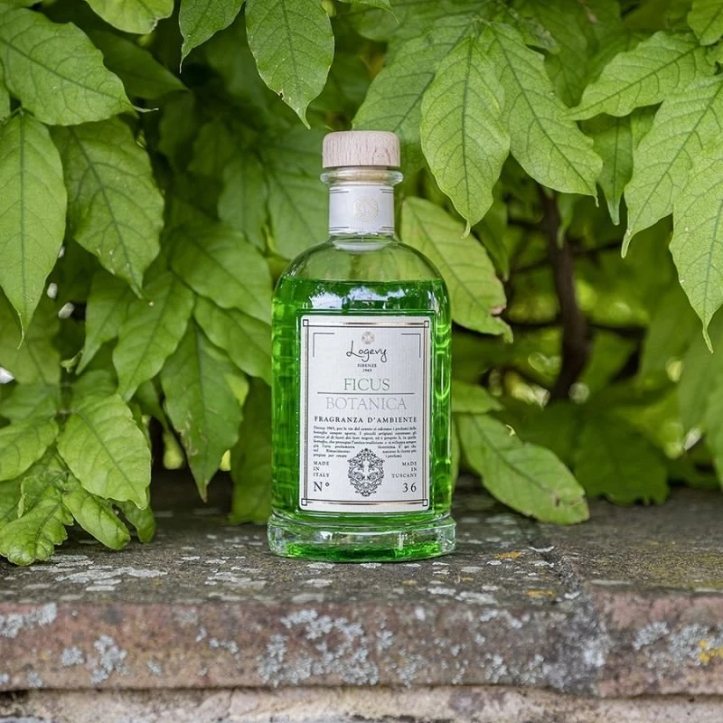 Logevy Firenze 1965 Namų kvapas su lazdelėmis "Ficus Botanica" (žalumos, medienos ir vanilės kvapo), 100 ml