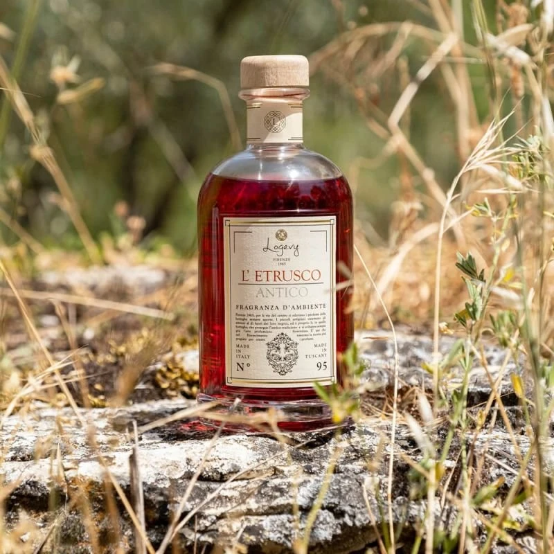 Logevy Firenze 1965 Namų kvapas su lazdelėmis "L'Etrusco Antico" (bergamotės, muskato riešutų ir medienos kvapo), 250 ml