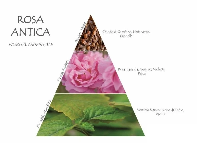 Naturalmila Italia Rosa Antica namų kvapas su lazdelėmis 250 ml
