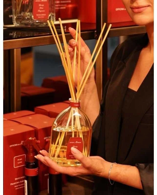 Officina Delle Essenze Ambra namų kvapas su lazdelėmis 250 ml