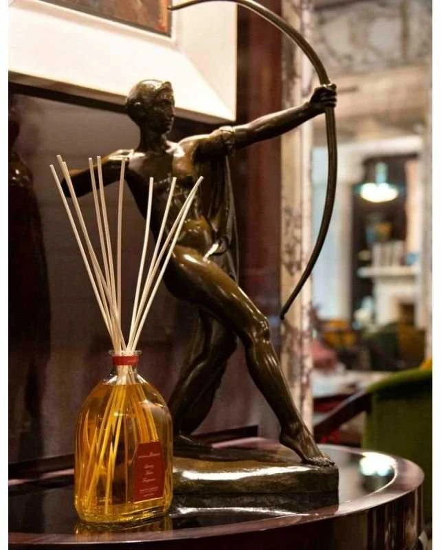 Officina Delle Essenze Angostura namų kvapas su lazdelėmis 250 ml