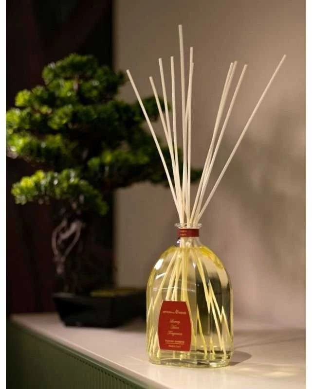 Officina Delle Essenze Fresco Bosco namų kvapas su lazdelėmis 250 ml
