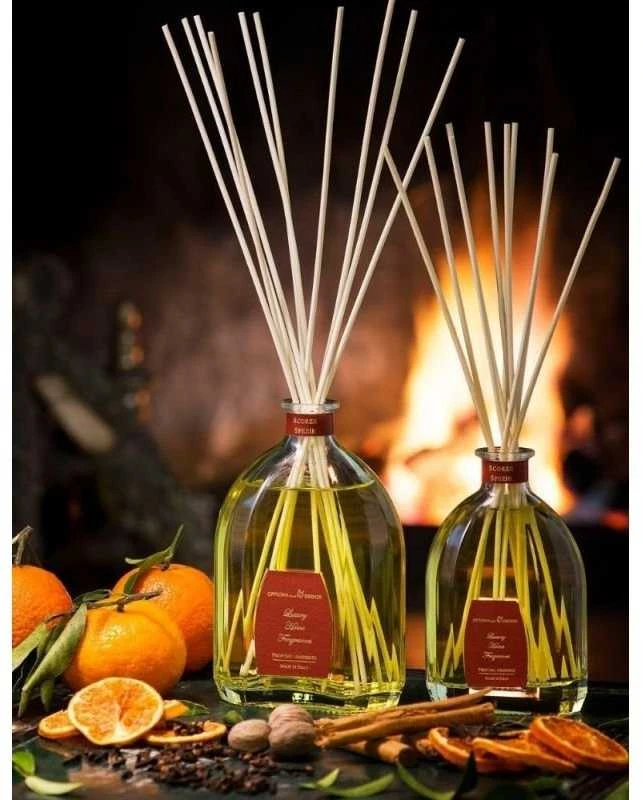 Officina Delle Essenze Scorze & Spezie namų kvapas su lazdelėmis 250 ml