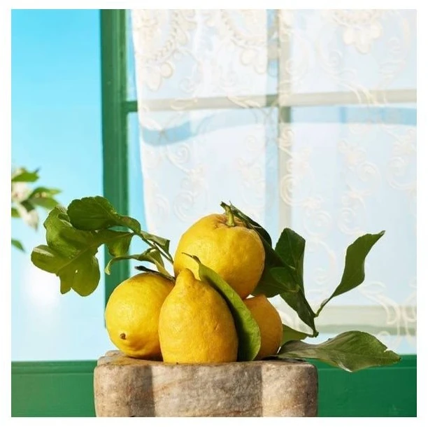 Rudy Milano Sicilian Lemon drėkinamasis kūno kremas 450 ml