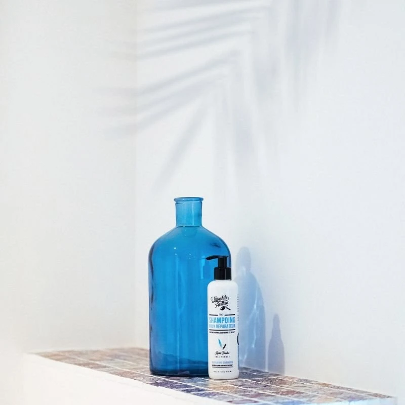 Theophile Berthon Repairing Šampūnas Shea Powder atkuriamasis šampūnas 240 ml