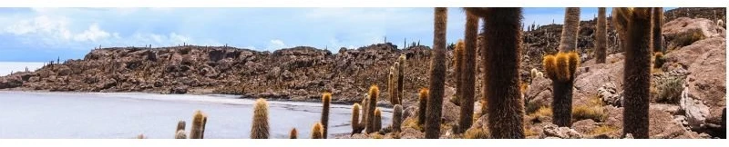 Treatments Uyuni dušo putos kūnui ir plaukams 250 ml