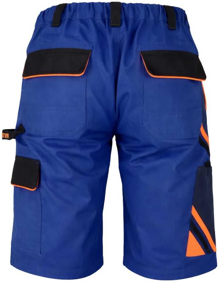 295g/m² darbo šortai REIS PRO MASTER