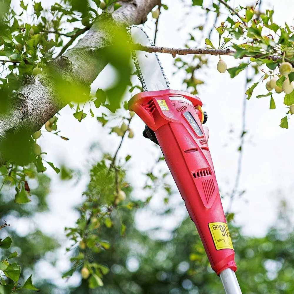 Grandininis pjūklas Akumuliatorinis teleskopinis genėjimo pjūklas WORCRAFT 20V LI-ION