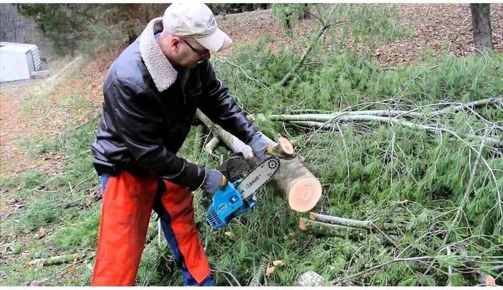 Grandininis pjūklas Benzininis šakų genėjimo pjūklas BAUG 1,2AG, 20cm