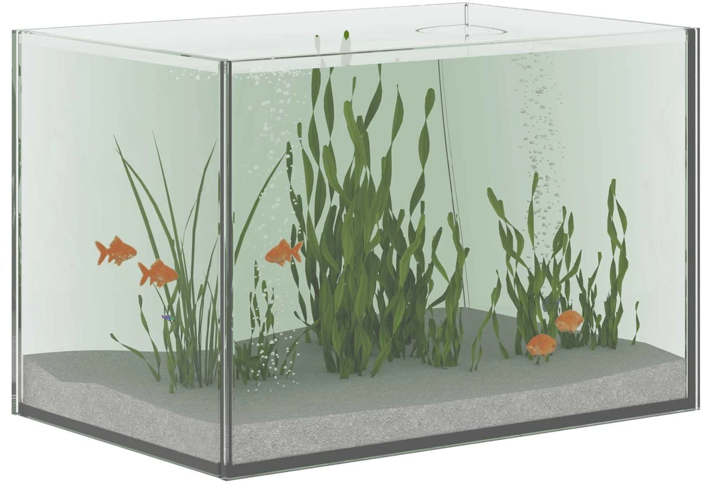Akvariumas su saugykla Skaidrus 30 x 20 x 20 cm Stiklas