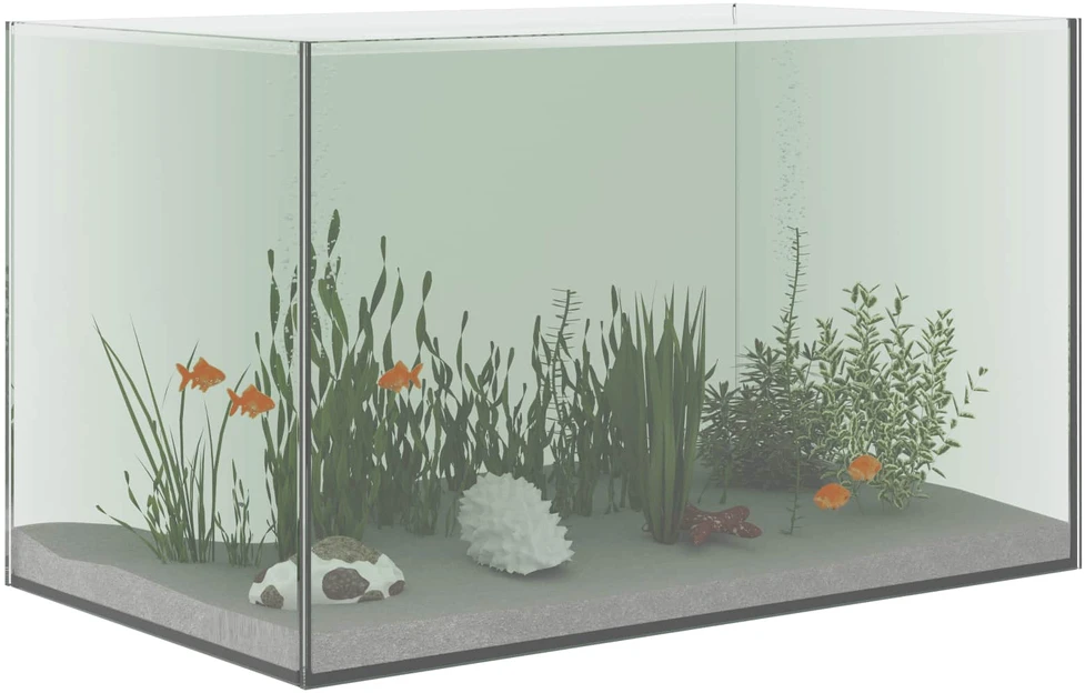 Akvariumas su saugykla Skaidrus 50 x 30 x 30 cm Stiklas