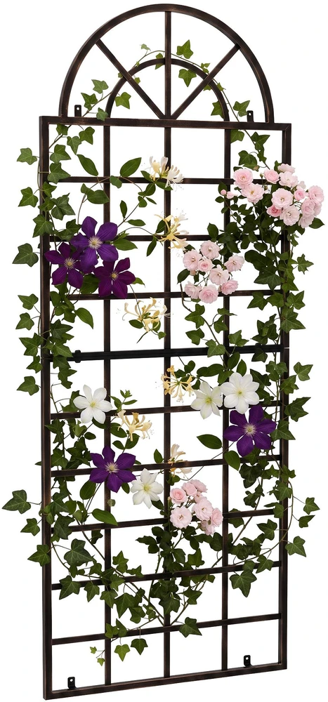 Clp Trading Trellis Viva bronza