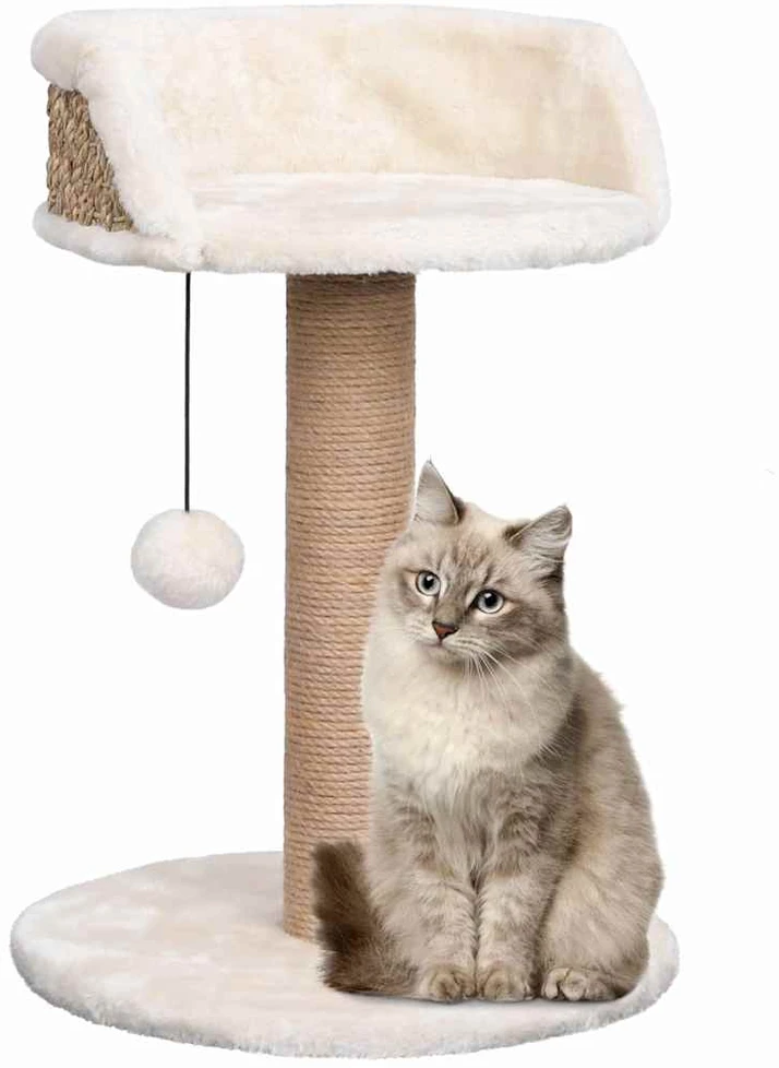 Draskyklė katėms su stovu, 49cm, jūros žolė