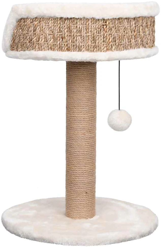 Draskyklė katėms su stovu, 49cm, jūros žolė