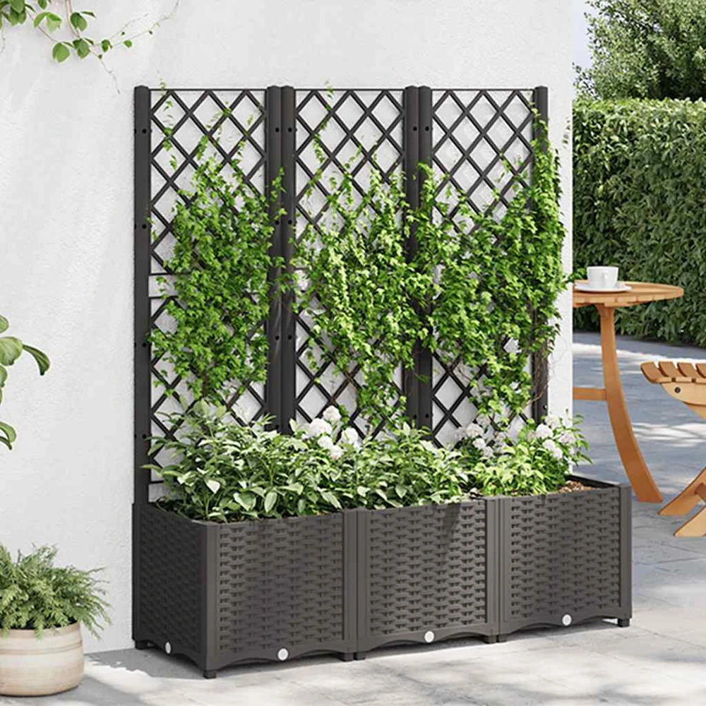 Dvivietė sodo sofa su pagalvėlėmis, juodos spalvos, poliratanas