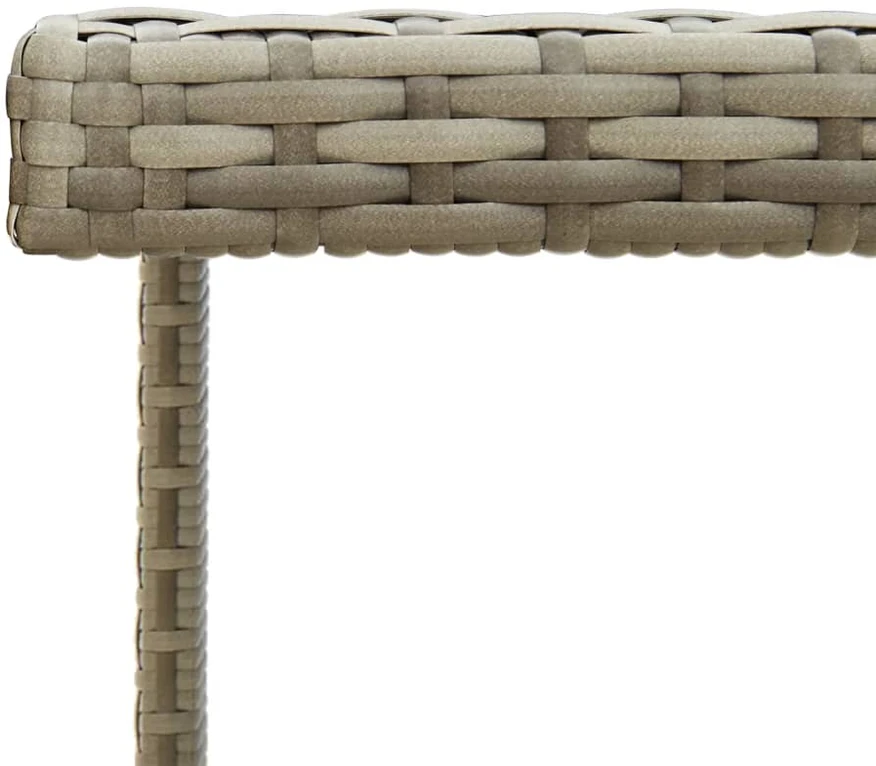 Dvivietė sodo sofa su pagalvėlėmis, smėlio spalvos, poliratanas