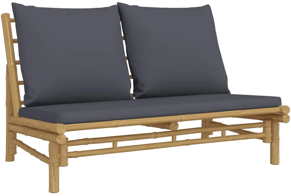 Dvivietė sodo sofa su pagalvėlėmis, smėlio spalvos, poliratanas