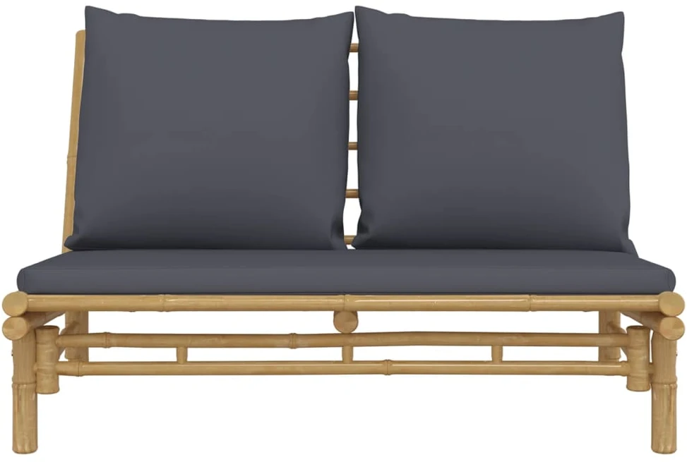 Dvivietė sodo sofa su pagalvėlėmis, smėlio spalvos, poliratanas