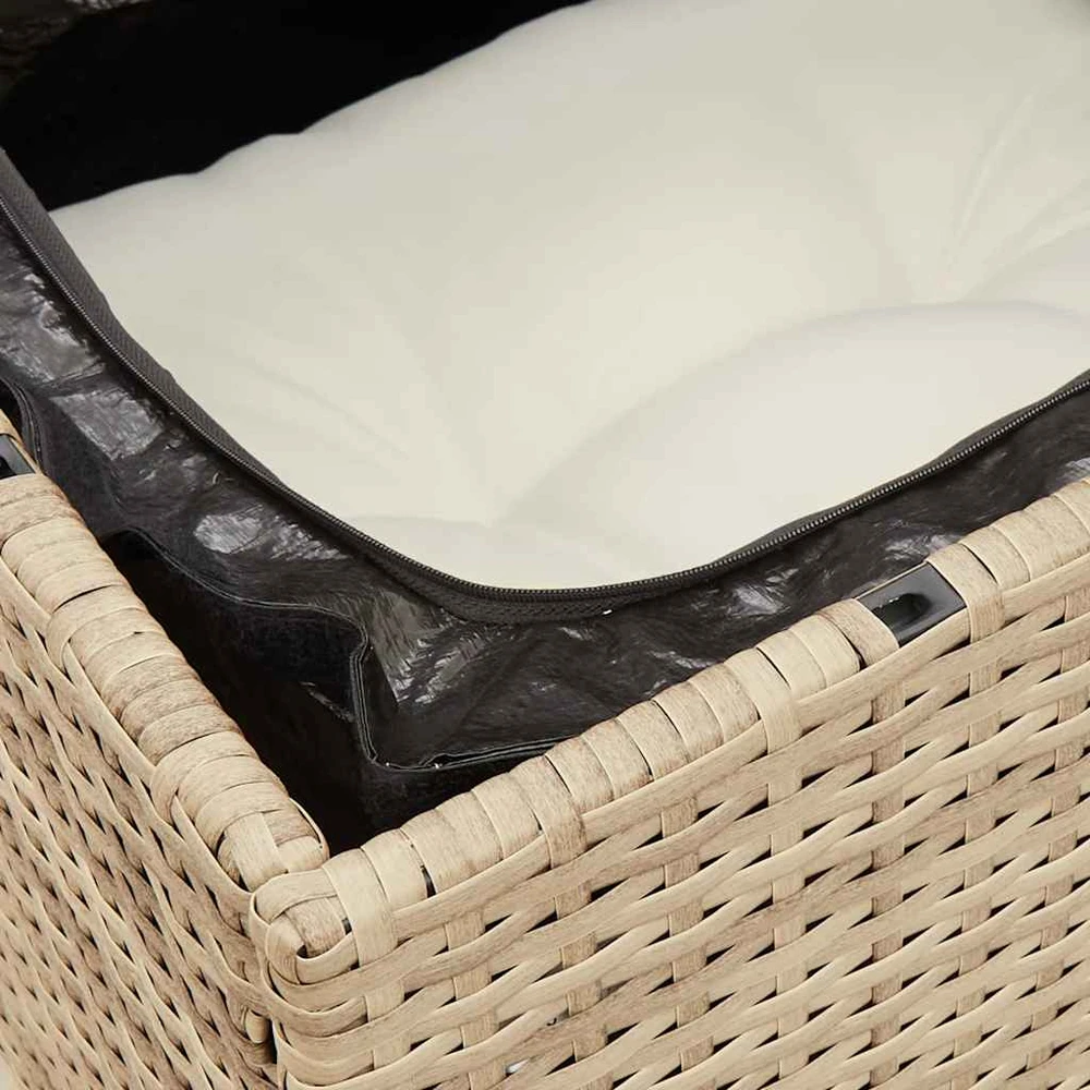 Dvivietė sodo sofa su pagalvėlėmis, smėlio spalvos, poliratanas