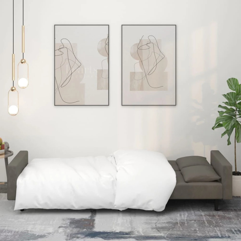 Dvivietė sofa-lova su dvejomis pagalvėmis, pilka, aksomas