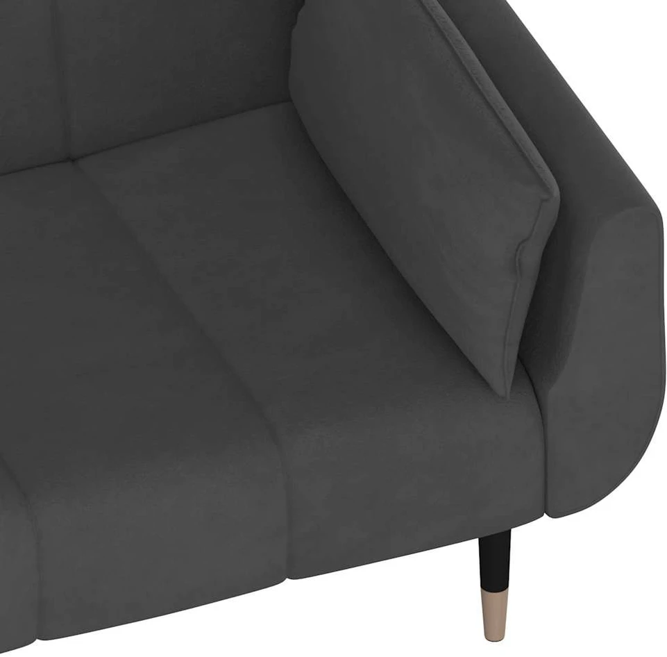 Dvivietė sofa-lova su dvejomis pagalvėmis, pilka, aksomas