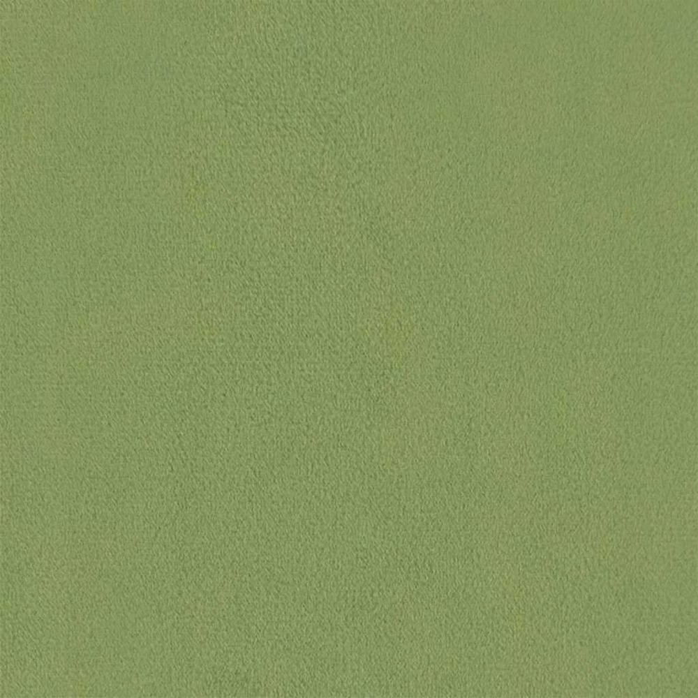 Dvivietė sofa-lova, šviesiai žalios spalvos, aksomas