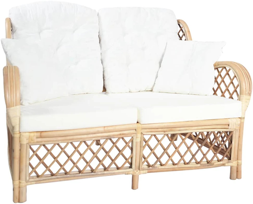 Dvivietė sofa, ratanas