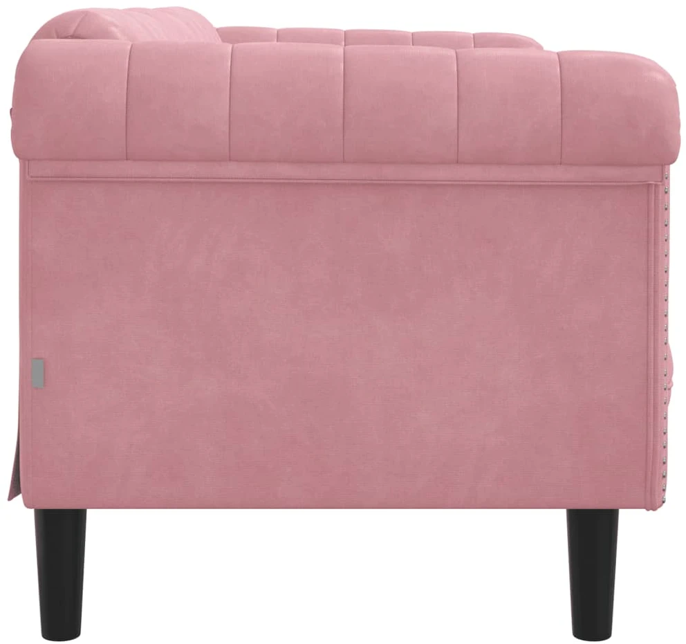 Dvivietė sofa, rožinės spalvos, aksomas
