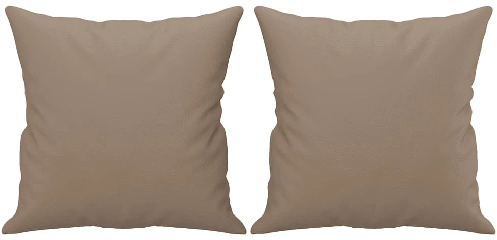 Dvivietė sofa su pagalvėlėmis, kapučino, 120cm, dirbtinė oda