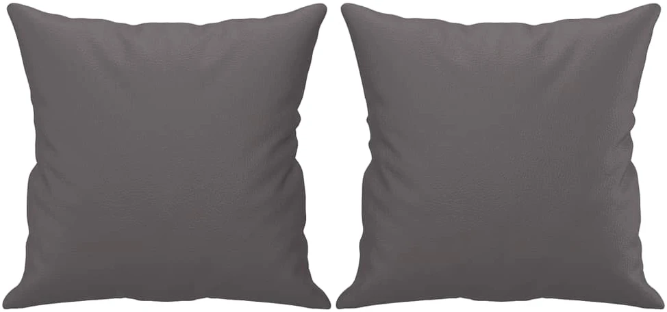 Dvivietė sofa su pagalvėlėmis, pilka, 120cm, dirbtinė oda