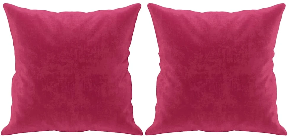 Dvivietė sofa su pagalvėlėmis, raudonojo vyno, 120cm, aksomas