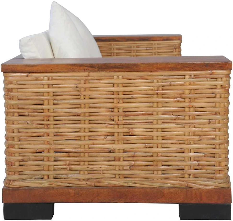 Dvivietė sofa su pagalvėlėmis, rudos sp., natūralus ratanas
