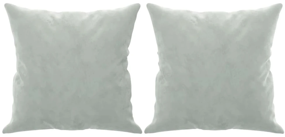 Dvivietė sofa su pagalvėlėmis, šviesiai pilka, 120cm, aksomas