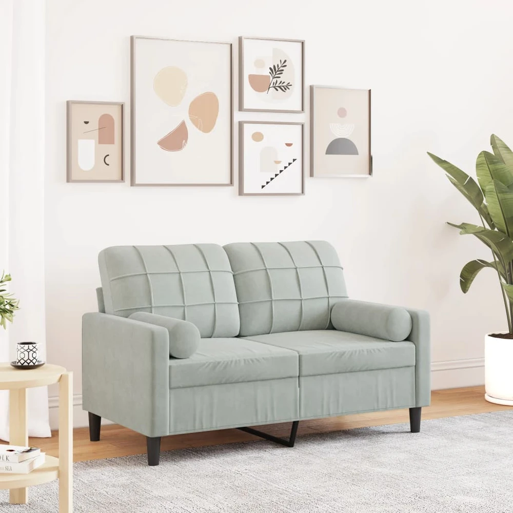 Dvivietė sofa su pagalvėlėmis, šviesiai pilka, 120cm, aksomas