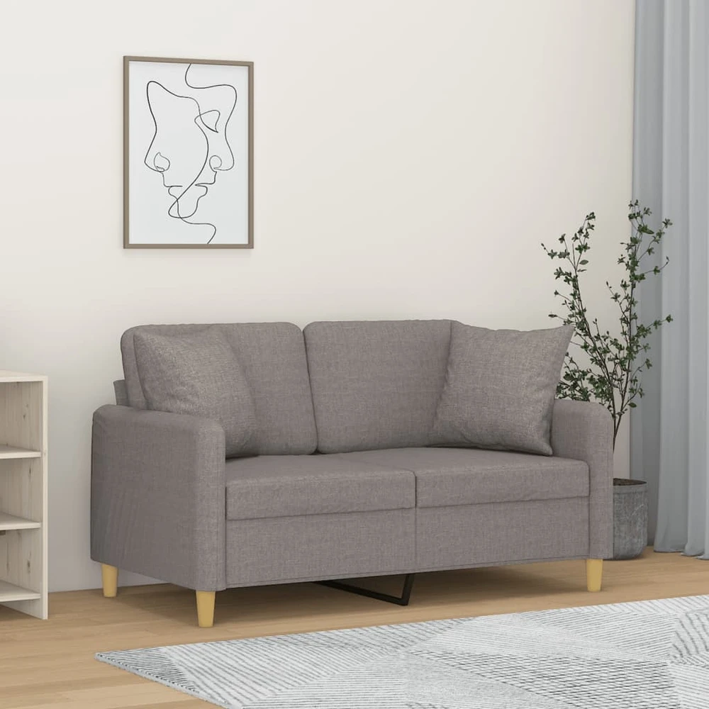 Dvivietė sofa su pagalvėlėmis, šviesiai pilka, 120cm, audinys