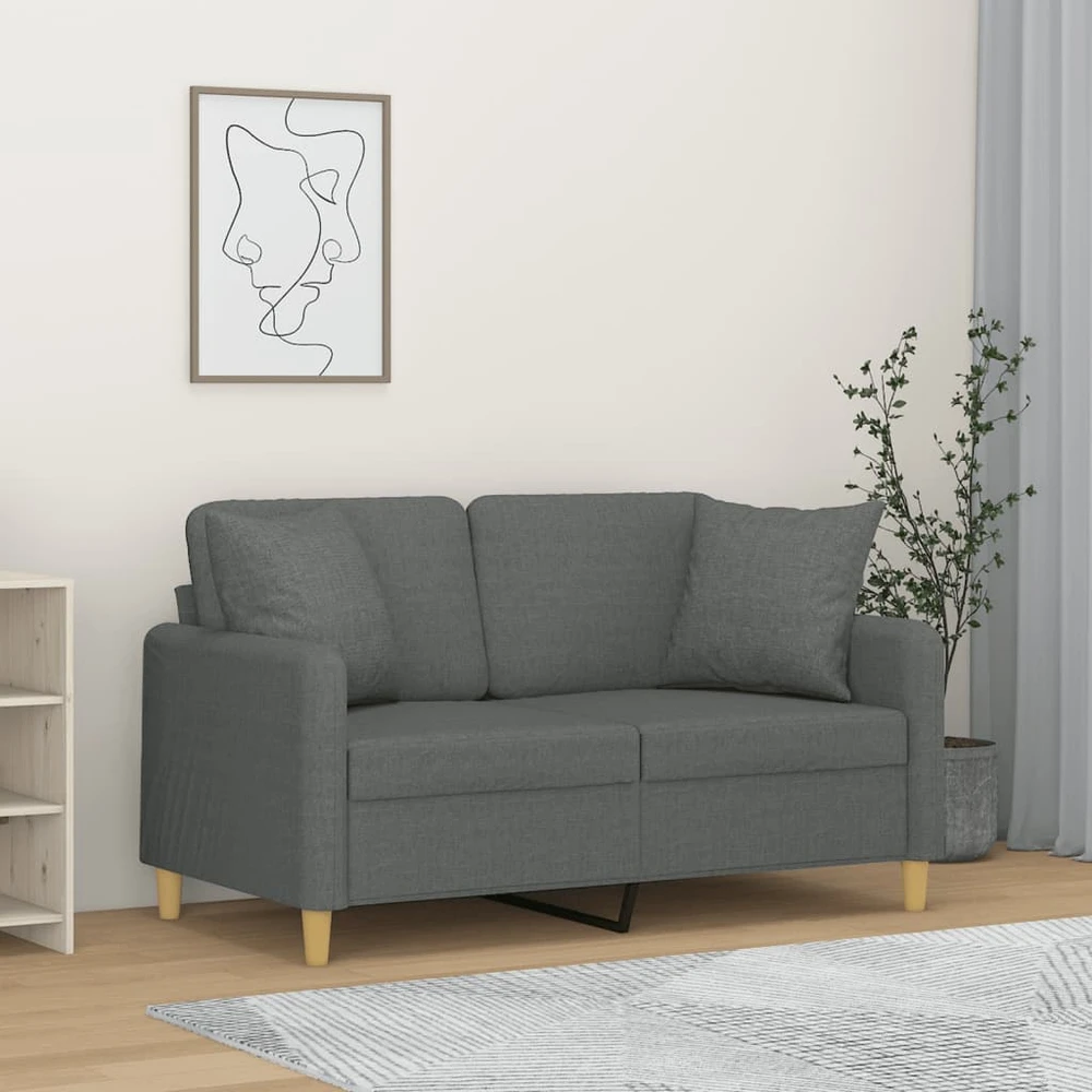 Dvivietė sofa su pagalvėlėmis, tamsiai pilka, 120cm, audinys