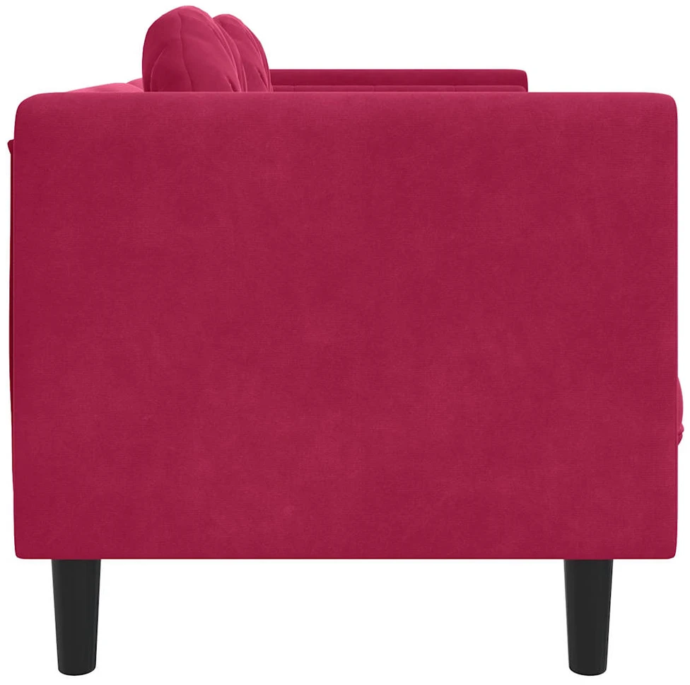 Dvivietė sofa su pagalvėlėmis, vyno raudonos spalvos, aksomas