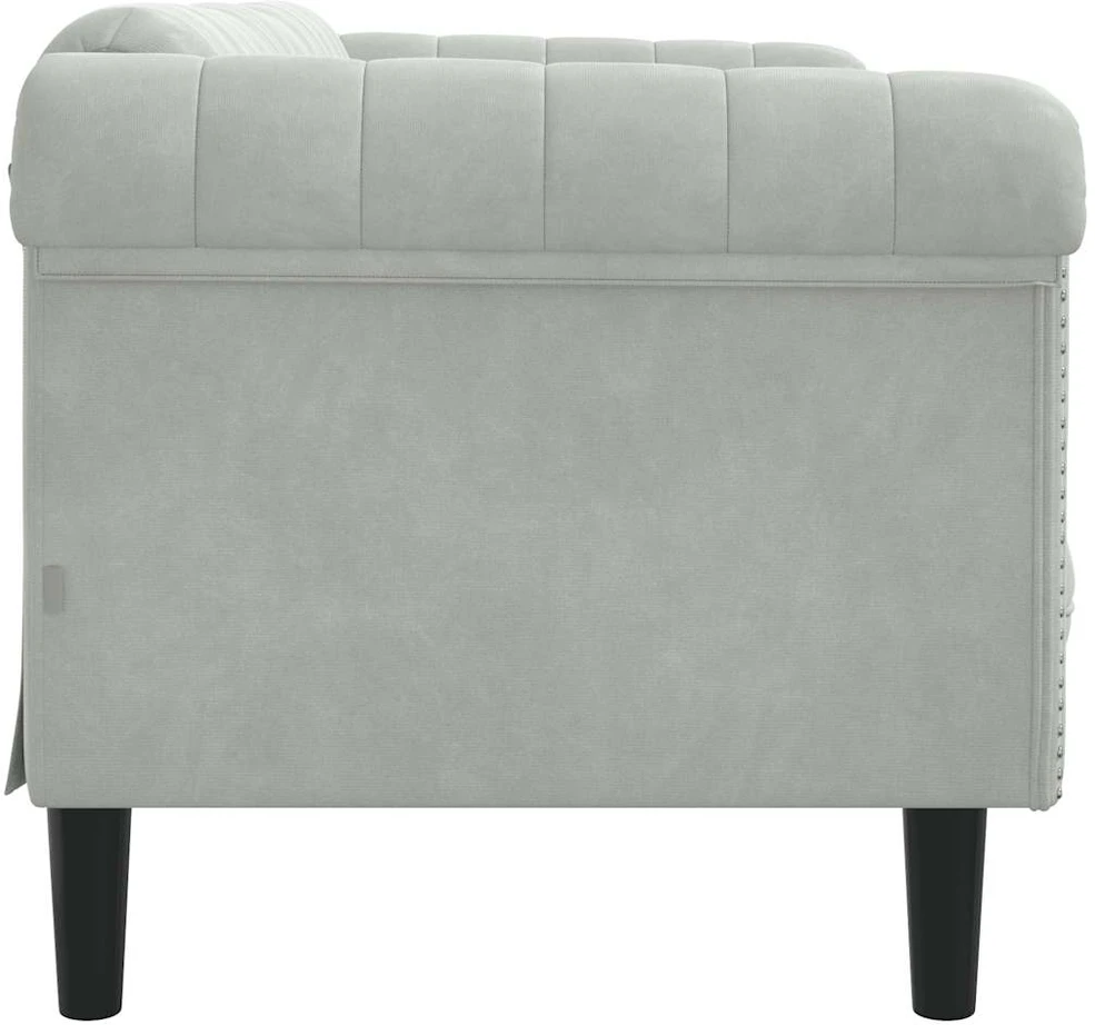 Dvivietė sofa, šviesiai pilkos spalvos, aksomas