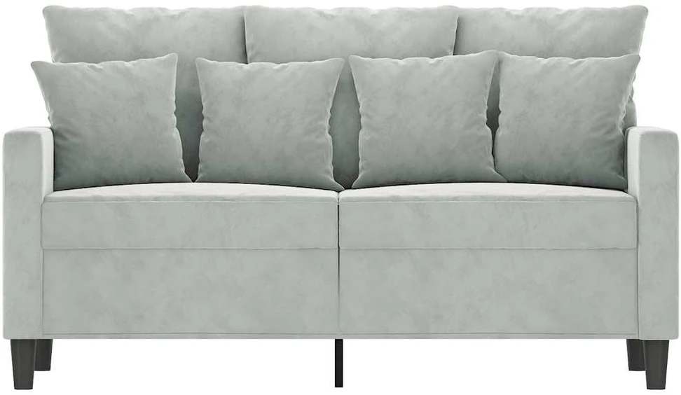 Dvivietė sofa, šviesiai pilkos spalvos, 120cm, aksomas