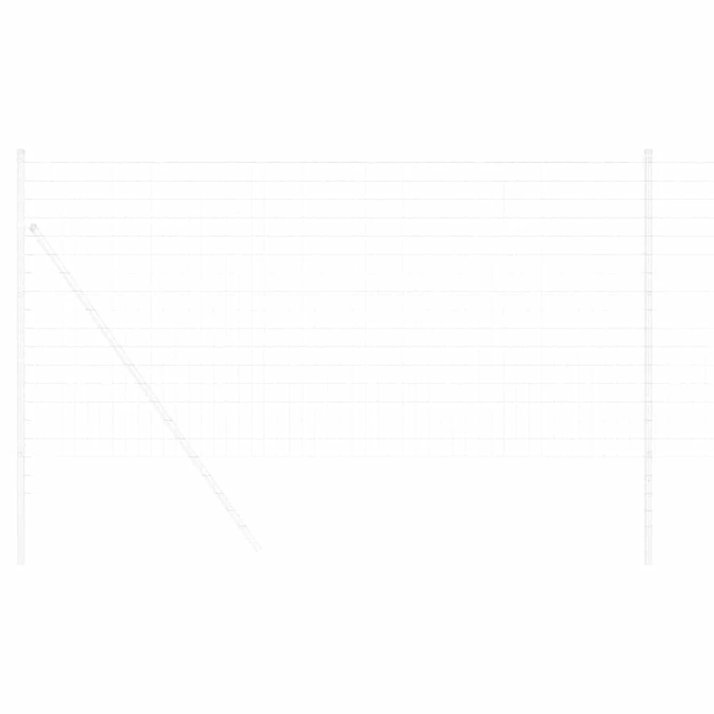 Euro tvora 1 x 10 m PVC padengta geležis