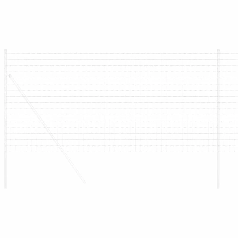 Euro tvora 1 x 10 m PVC padengta geležis