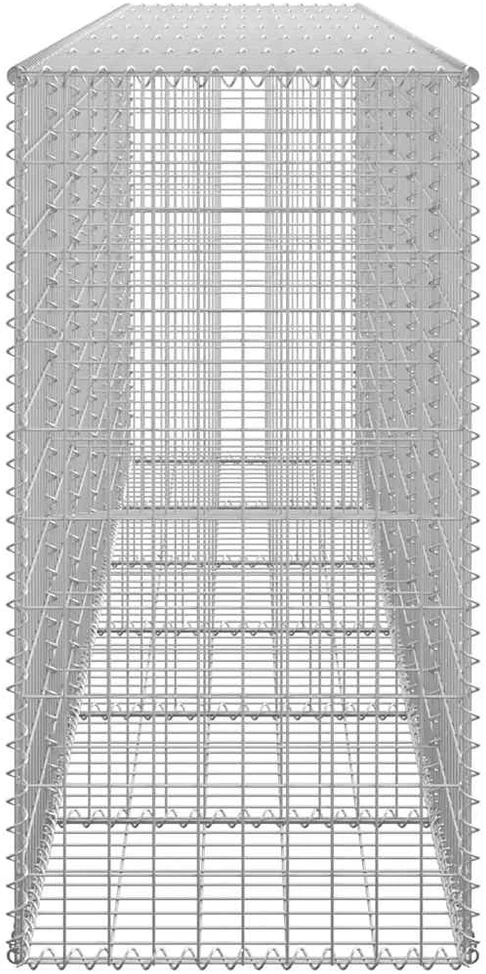 Gabiono siena su dang., galvanizuotas plienas, 300x50x100cm