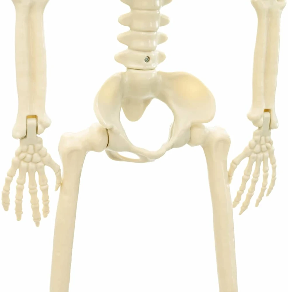 Helovino skeletas 2 vnt. Balta 85 cm PVC