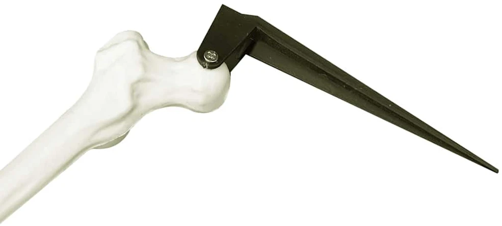 Helovino skeletas su žemės kuolais Balta 45,5 x 13 cm