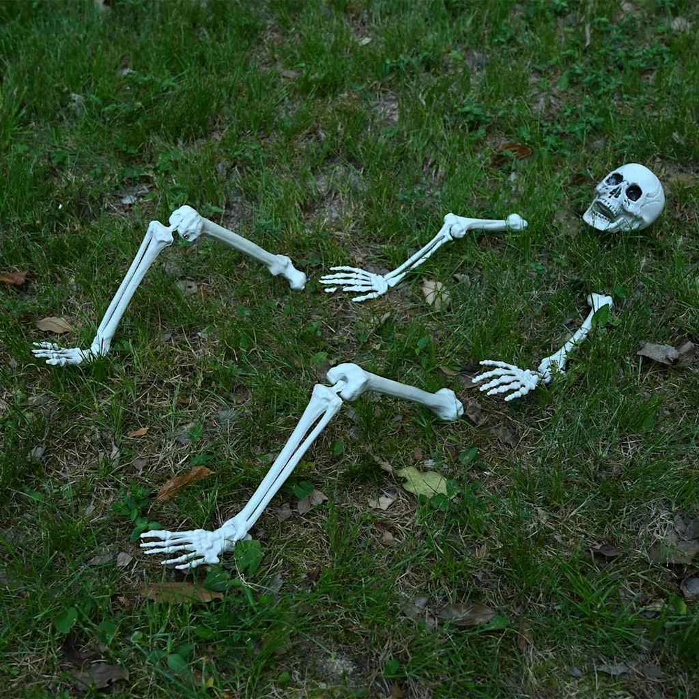 Helovino skeletas su žemės kuolais Balta 45,5 x 13 cm