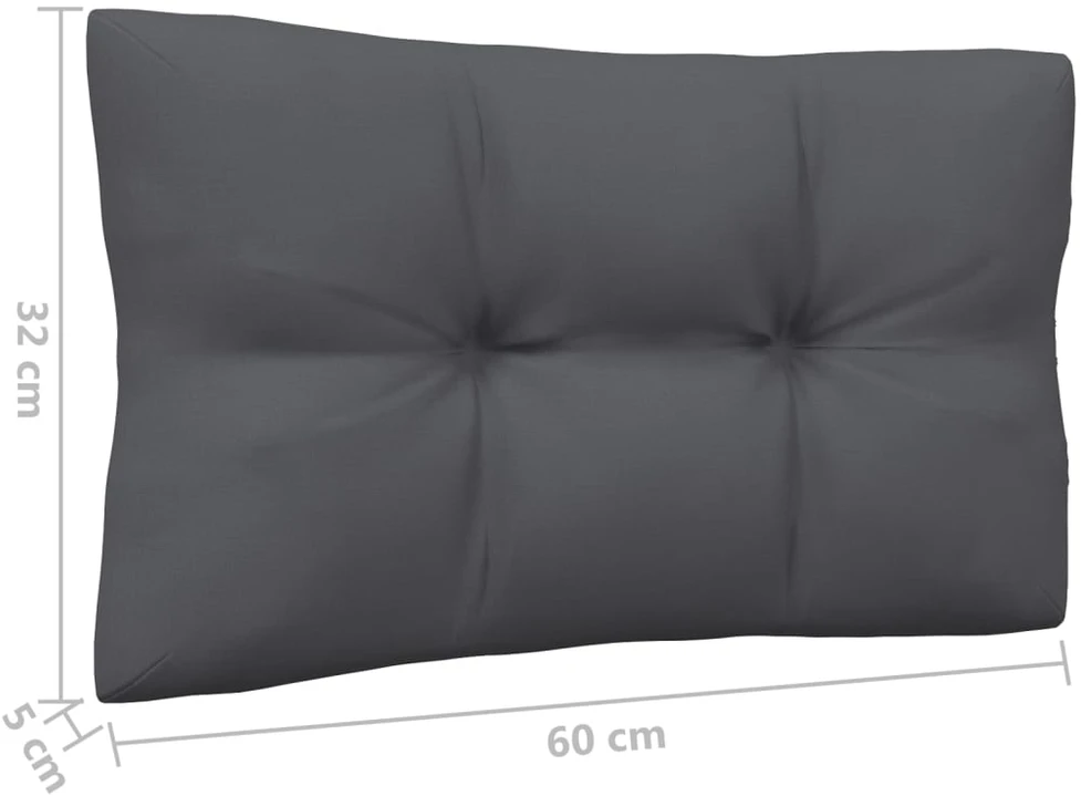 Keturvietė sodo sofa su antracito pagalvėlėmis, pušies masyvas