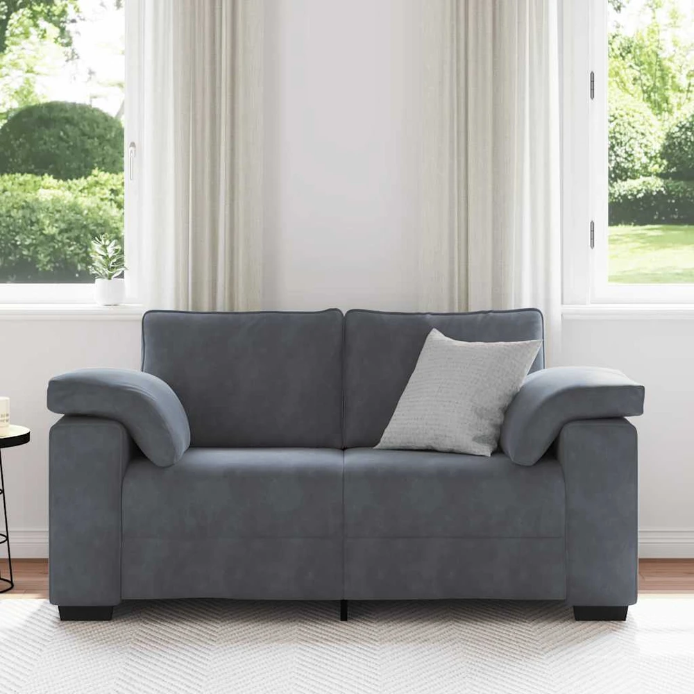 Dvivietė sofa, tamsiai pilka, 160x77x82 cm, aksomas