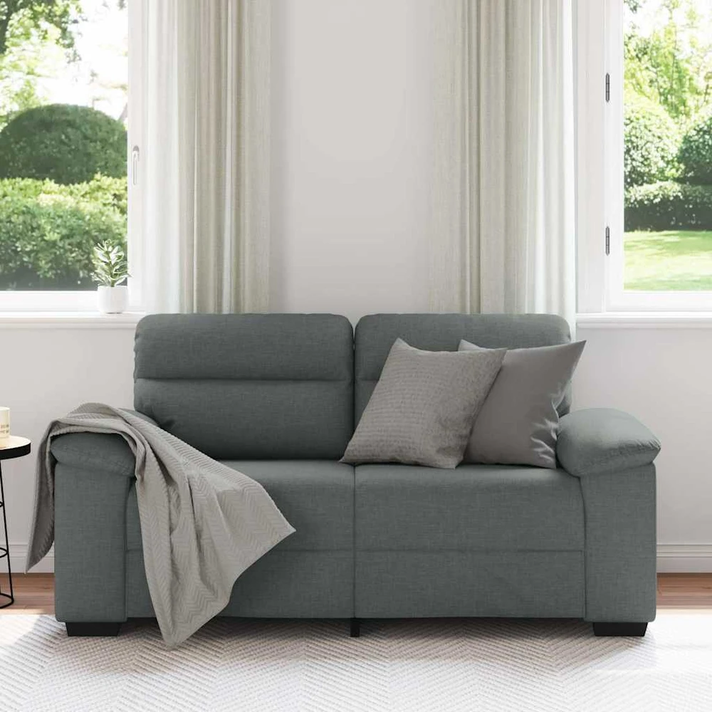 Dvivietė sofa, tamsiai pilka, 160x81x84 cm, audinys