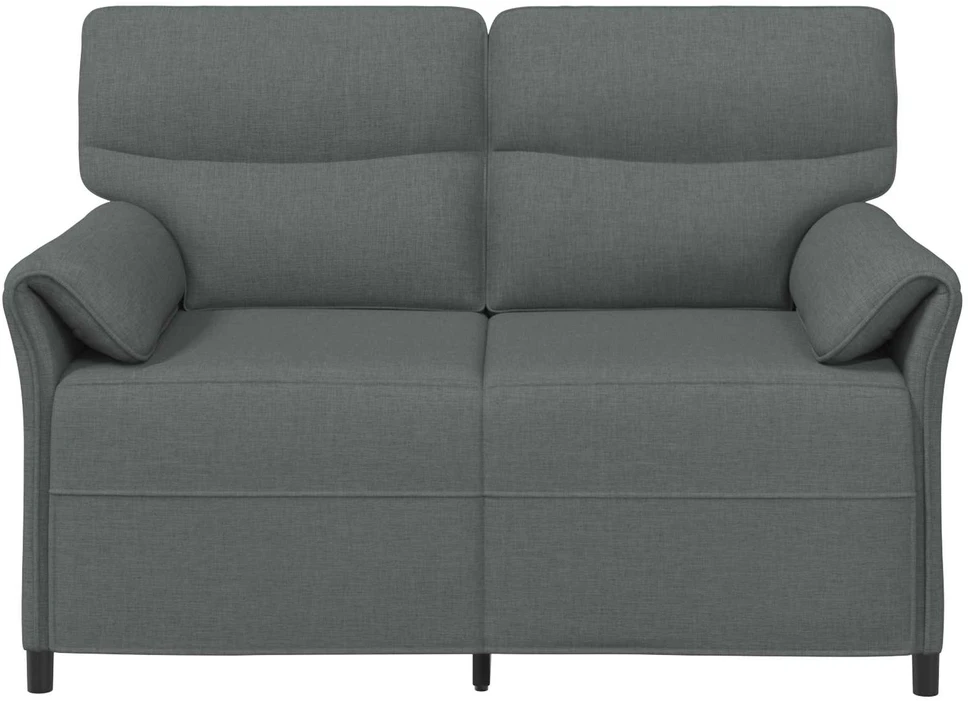 Sofa 100% poliesteris metalinis rėmas MDF, fanera