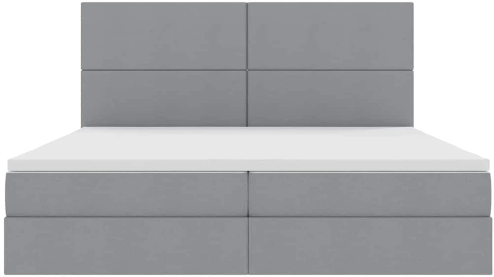Lova su daiktų laikymo vieta ir LED Šviesiai pilka 200 x 200 cm